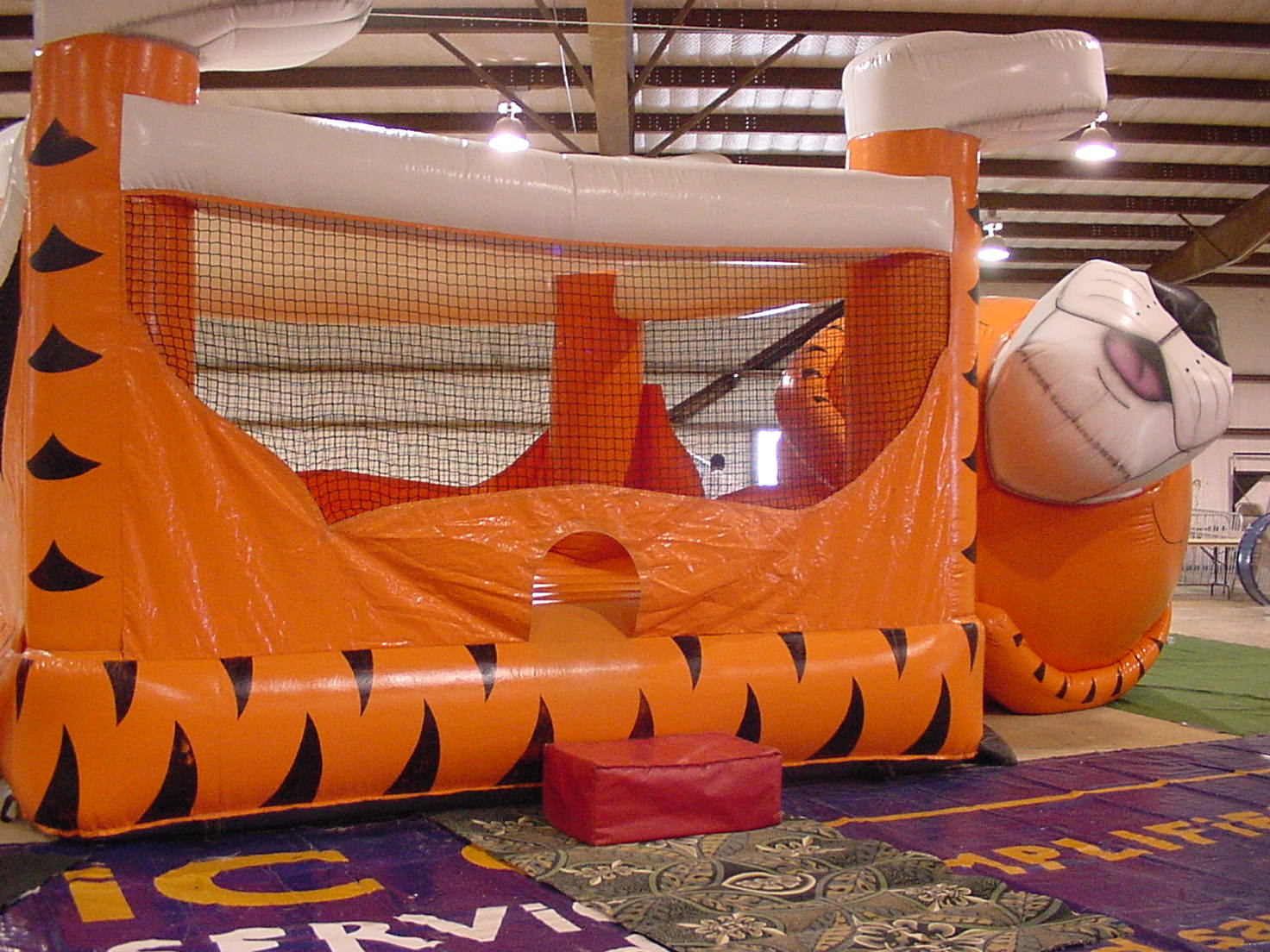 Image of belly_bouncea.jpg