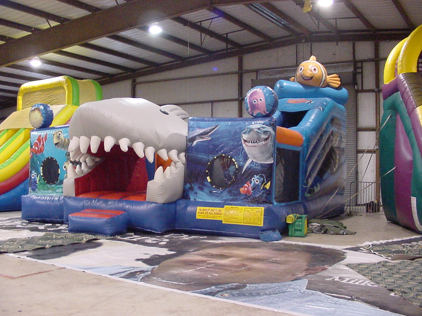 Image of finding_nemo_adventurea.jpg