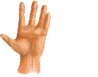 Image of hand2__pointinga.gif