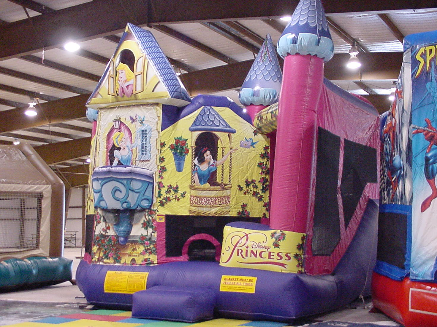 Image of princess_5-1a.jpg