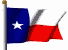 Image of texas_fl.gif